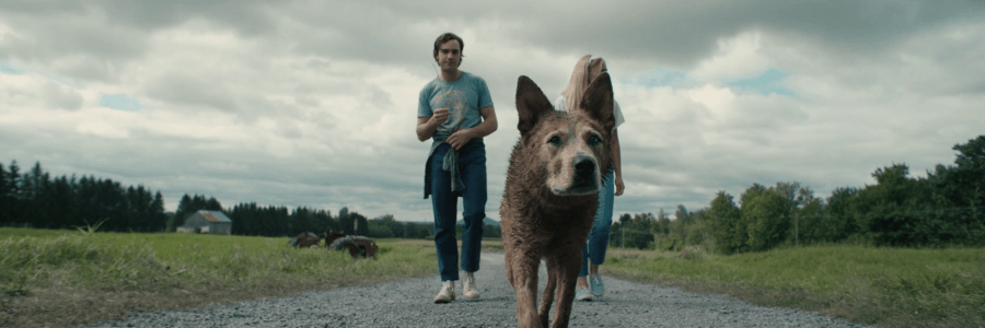 Pet Sematary: Bloodlines (2023)