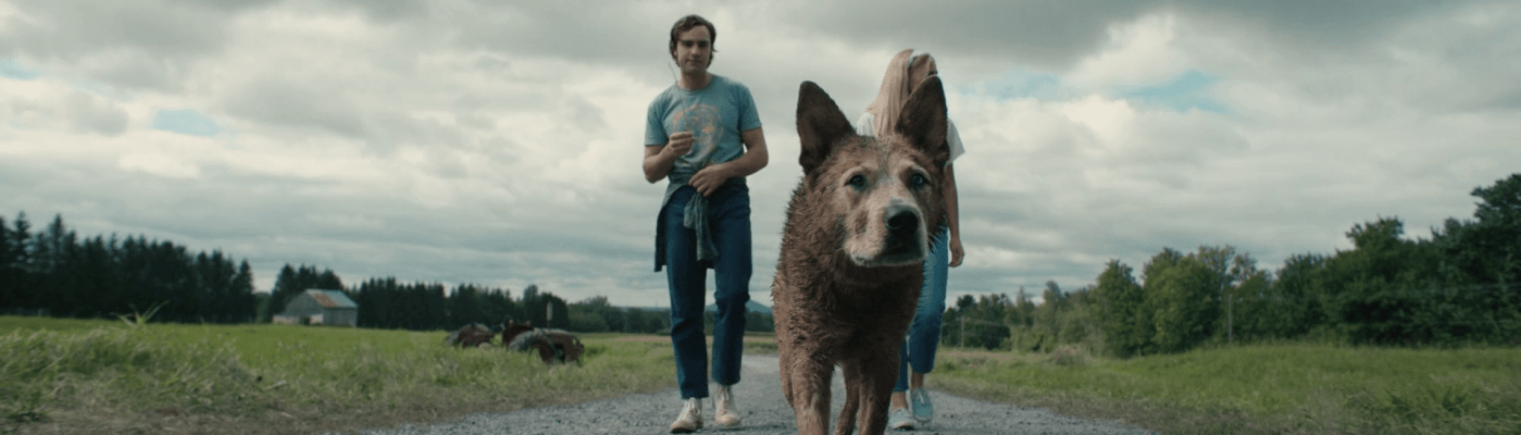 Pet Sematary: Bloodlines (2023)