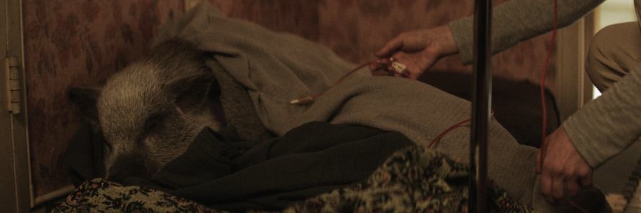 Birth/Rebirth (2023)