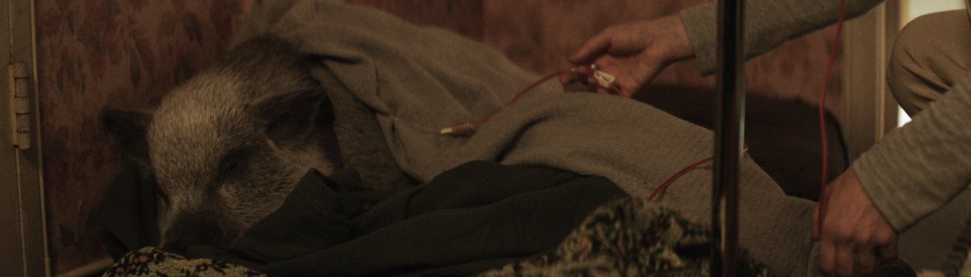 Birth/Rebirth (2023)