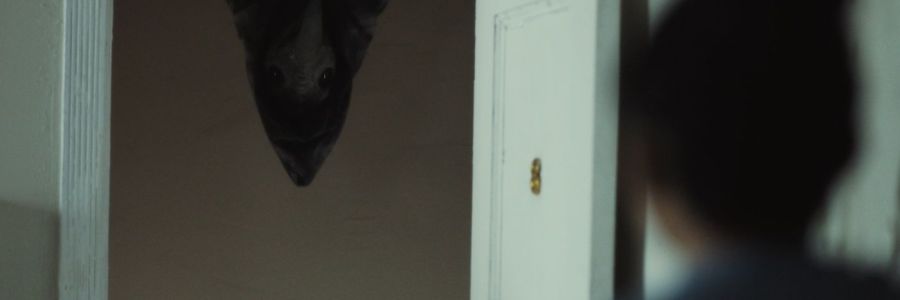 The Harbinger (2023)