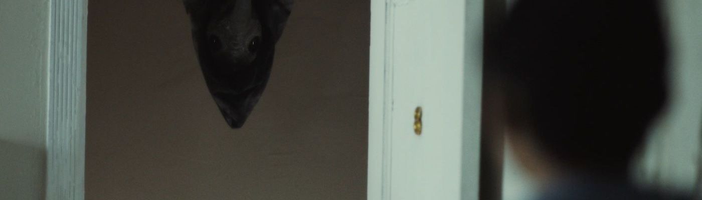 The Harbinger (2023)