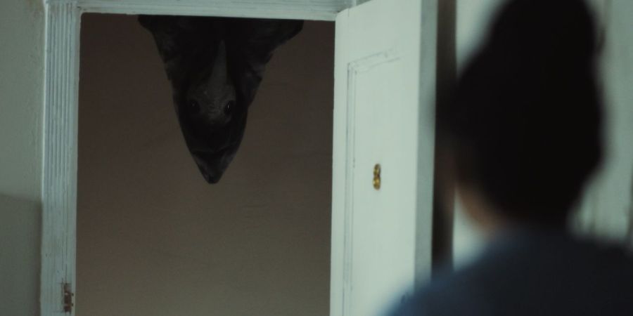 The Harbinger (2023)