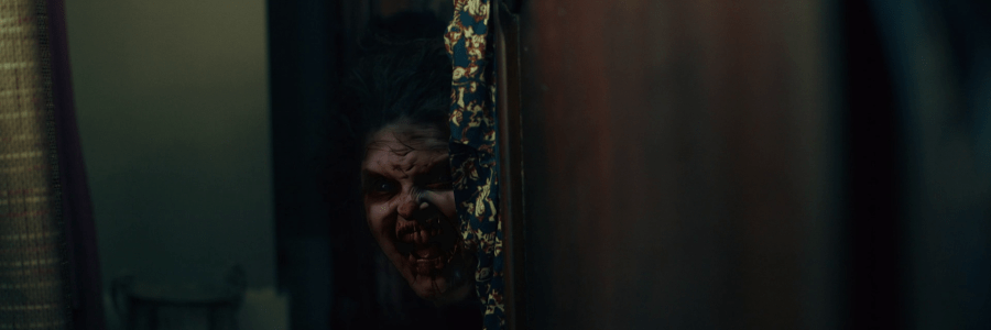 825 Forest Road (2025)