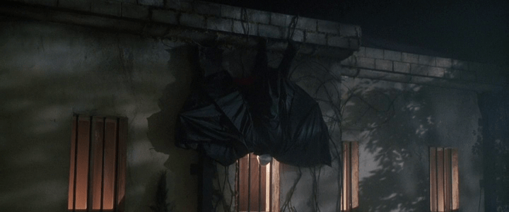 Dracula: Dead and Loving It (1995)