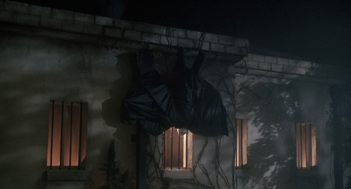 Dracula: Dead and Loving It (1995)