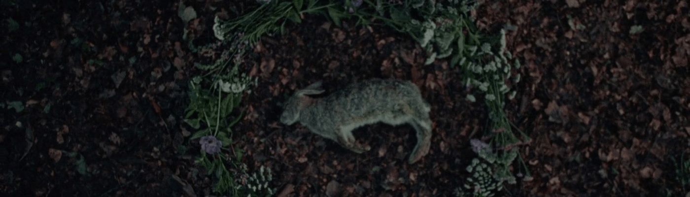 Rabbit Trap (2025)